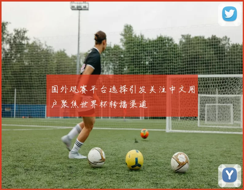 国外观赛平台选择引发关注中文用户聚焦世界杯转播渠道