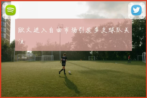 欧文进入自由市场引发多支球队关注