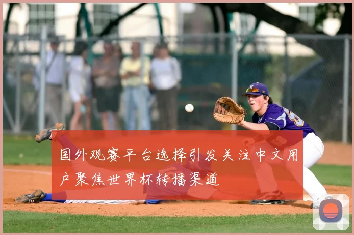 国外观赛平台选择引发关注中文用户聚焦世界杯转播渠道