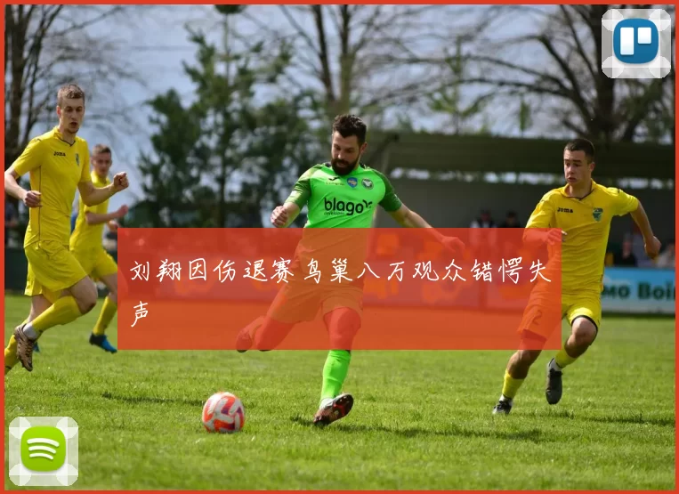 刘翔因伤退赛鸟巢八万观众错愕失声