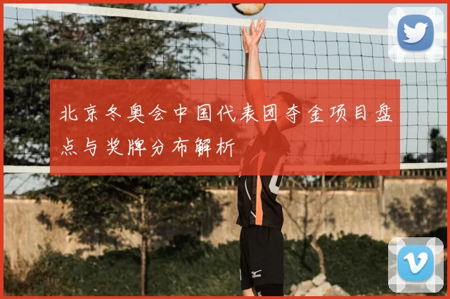 北京冬奥会中国代表团夺金项目盘点与奖牌分布解析