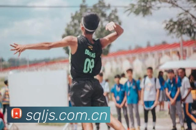 App Interface Preview