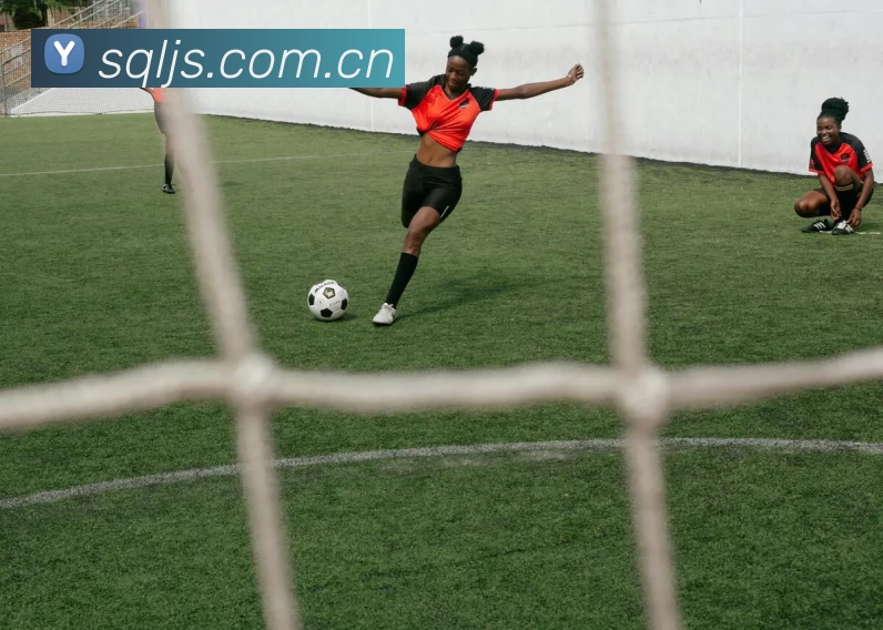 数据防护可视化